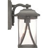 Progress Lighting Abbott Collection One-Light Small Wall Lantern P560113-103